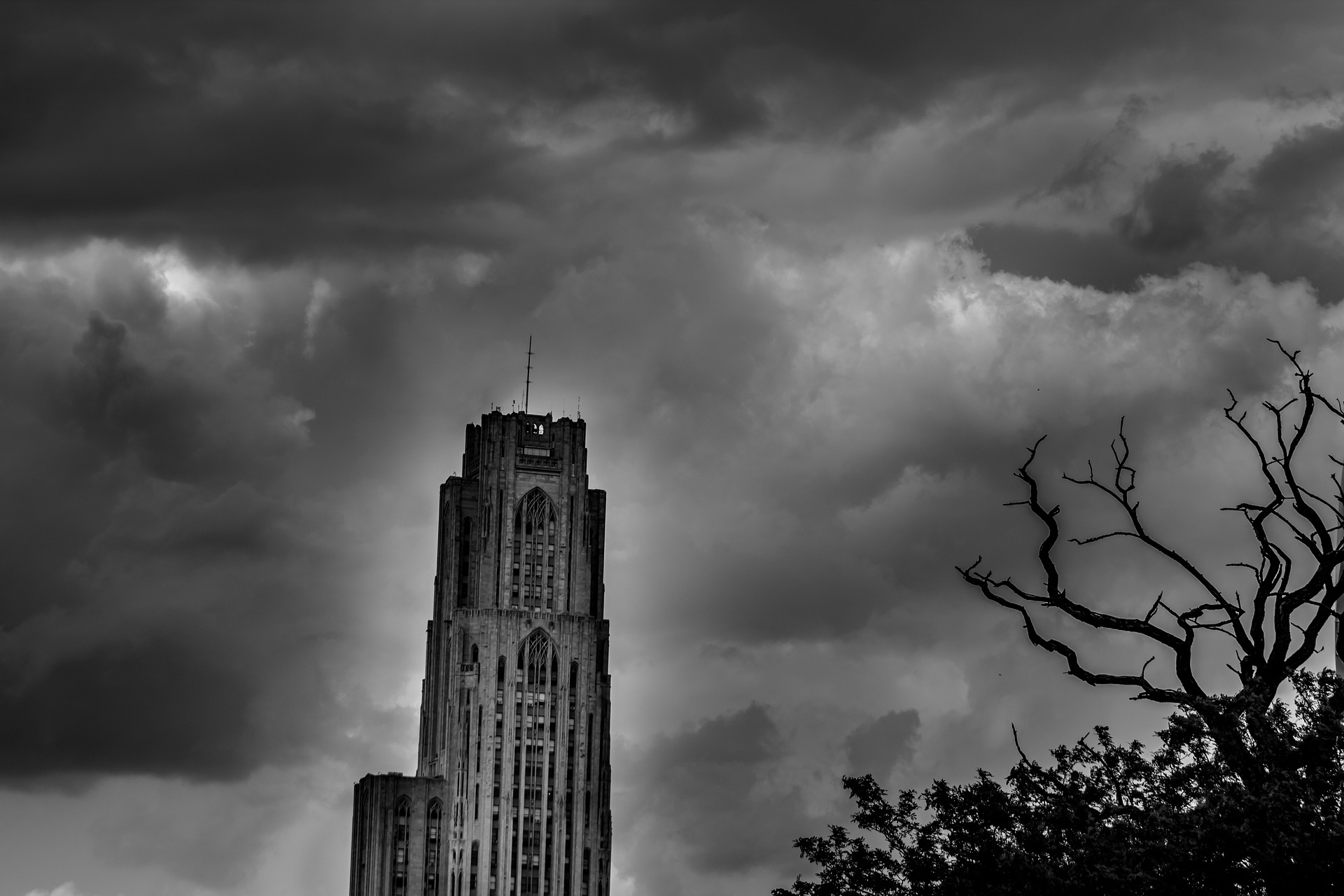 black-and-white-gc1c38ef2e_1920
