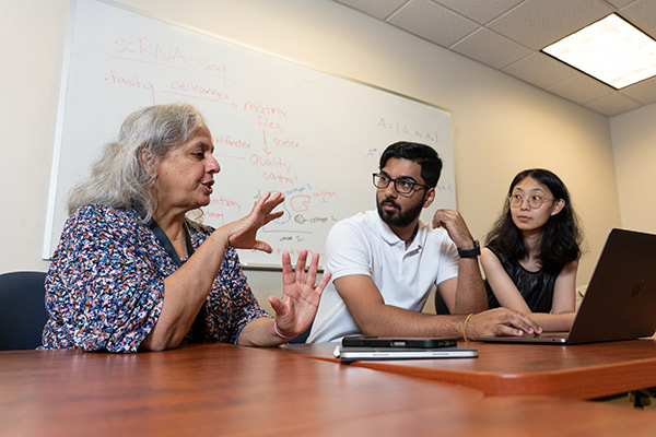 Education Bioinformatics Education Bioinformatics